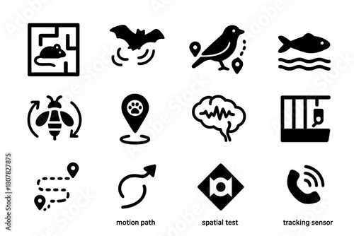 Animal Navigation Icons. Spatial navigation in animals. Solid icon set of Spatial navigation in animals: rat in maze, bat echolocation, bird migration path,