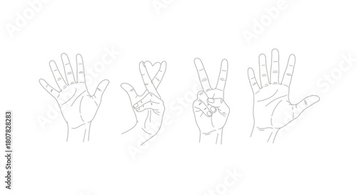 Vector illustration set of human hand gestures, featuring the peace sign, fingers crossed for good luck, and an open palm