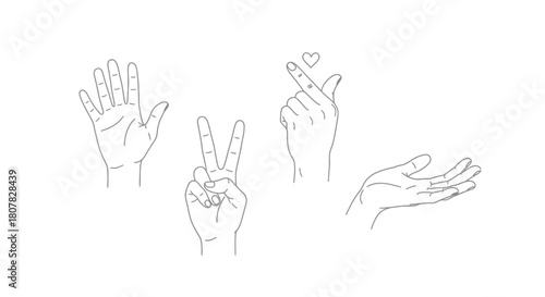 Elegant collection of various hand gestures in a minimalist line art style, including the peace sign and finger heart symbol