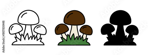 Mushroom Trio Graphic Set Featuring Edible Boletus Fungi with Grass Illustration