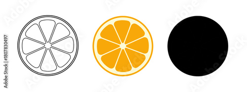 Presentation of an orange fruit cut with various illustration styles on white