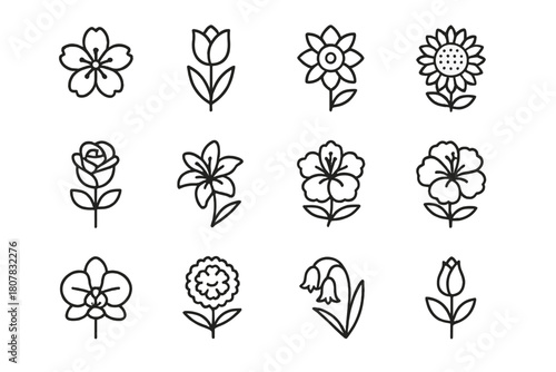 Seasonal Bloom Icons. Seasonal blooms. Line icon set of seasonal blooms: cherry blossom, tulip, daffodil, sunflower, rose, lily, hibiscus, peony, orchid,