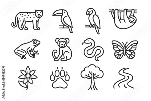 Rainforest Icon Set. Rainforest ecosystem. Line icon set of Rainforest ecosystem: jaguar, toucan, macaw, sloth, tree frog, monkey, snake, butterfly, exotic
