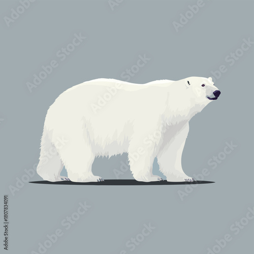 Vector illustration of a polar bear on a blue background