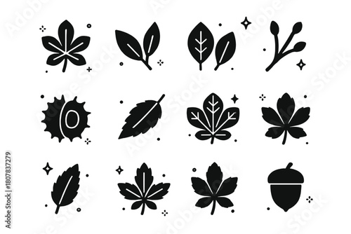 Chestnut Icon Grid. Chestnut Leaves and Branches. Solid icons set of Chestnut Leaves and Branches: chestnut leaf, leaf pair, midrib line, twig, bud, seed pod,