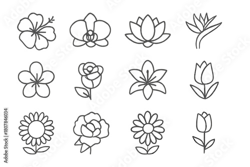 Exotic Flower Icons. Exotic flowers. Line icon set of exotic flowers: hibiscus, orchid, lotus, bird of paradise, plumeria, rose, lily, tulip, sunflower, peony,