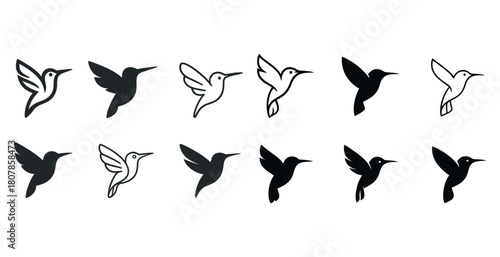 Set of hummingbird silhouettes and outlines in black and white