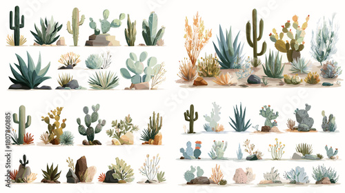 Beautiful watercolor cactus set featuring various succulent species with soft natural tones, desert plants, and botanical arrangements for decorative and design use.