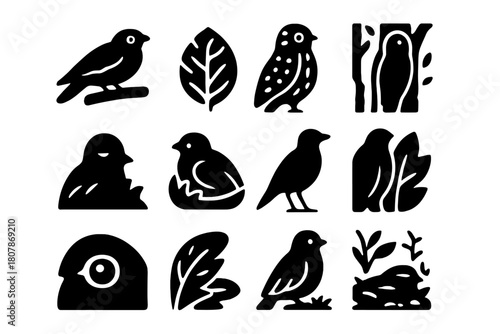 Camouflaged Bird Icons. Camouflage birds. Solid icon set of Camouflage birds: nightjar on branch, leaf pattern, mottled feathers, tree bark texture, hidden
