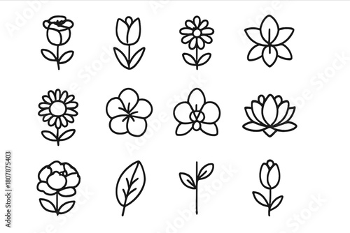 Botanical Line Icons. Botanical illustration. Line icon set of botanical illustration: rose, tulip, daisy, lily, sunflower, hibiscus, orchid, lotus, peony,