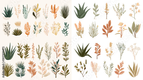 Beautiful collection of soft botanical leaves and plants in gentle green and warm earthy tones. Perfect decorative set for nature illustrations, floral compositions, and modern organic design.