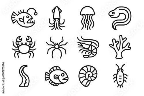 Abyssal Creatures Icons. Abyssal creatures. Line icon set of abyssal creatures: anglerfish, squid, jellyfish, eel, crab, sea spider, shrimp, coral, tentacle,