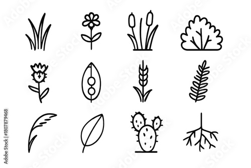 Steppe Flora Icons. Steppe Flora. Line icon set of Steppe Flora: grass, wildflower, reed, bush, thistle, seed pod, wheat, fern, feather grass, leaf, cactus,