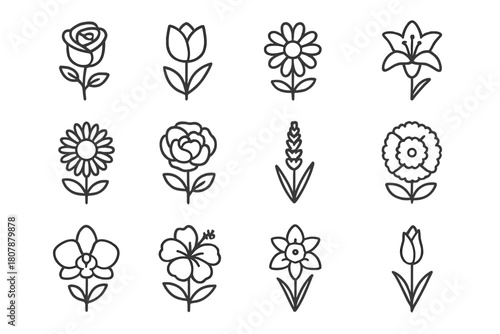 Garden Flower Icons. Garden flowers. Line icon set of garden flowers: rose, tulip, daisy, lily, sunflower, peony, lavender, marigold, orchid, hibiscus,