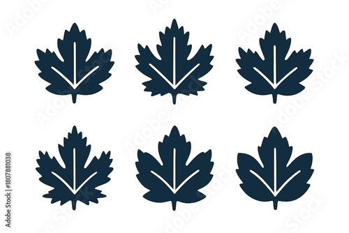 Frosted Leaf Icons. Ice crystals on a frozen pond. Icon set. Set Logo of Frosted Leaves: Leaves frozen on surface. Negative space, Symmetrical form, Flat