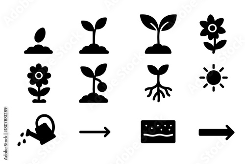 Growth Icons Collection. Growth Stages. Solid icon set of Growth Stages: seed, sprout, small plant, leaves, bud, flower, fruit, root system, sun, water can,