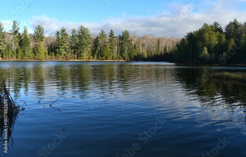 lake in the forest