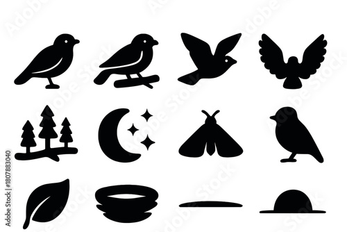 Nightjar Icons. Nightjar. Solid icon set of Nightjar: nightjar bird, perched nightjar, flying nightjar, bird wings spread, forest branch, moon, stars, insect
