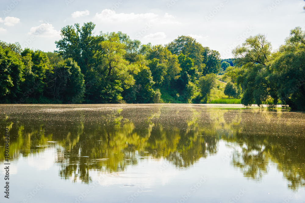 Fototapeta premium A peaceful summer river with soft reflections of lush green trees. Bright natural light, calm atmosphere, and a clean, harmonious landscape.