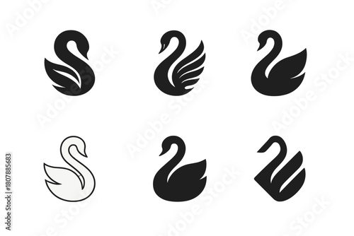Swan Logo Variations. Swans. Icon set. Set Logo of swans: minimalist swan feather motif. harmonious logo variations of the same emblematic concept, each with