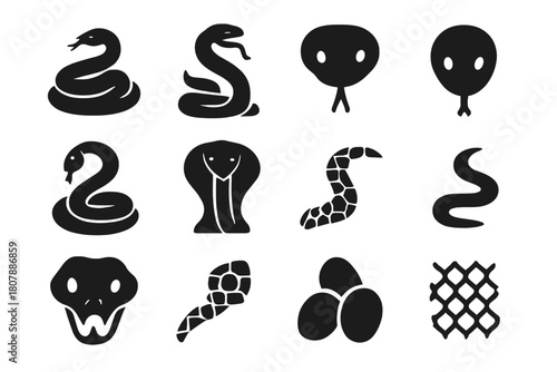 Snake Icon Set. Snake. Solid icon set of Snake: coiled snake, striking snake, snake head, tongue flick, rattlesnake, cobra hood, python pattern, viper fangs,