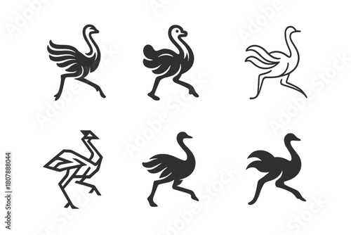 Ostrich Logo Variation. Ostriches. Icon set. Set Logo of ostriches: running ostrich in motion with flowing feathers. harmonious logo variations of the same