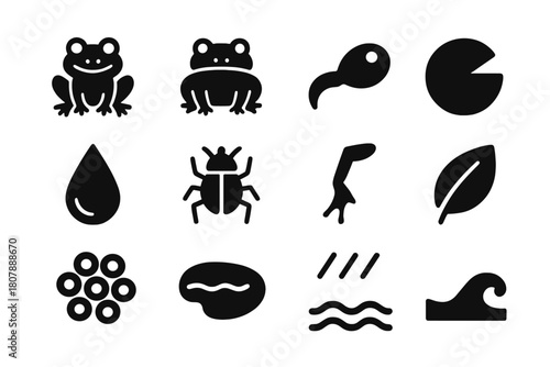 Frog and Toad Icons. Frogs and toads. Solid icon set of frogs and toads: frog, toad, tadpole, lily pad, water droplet, insect, leg jump, leaf, egg cluster,