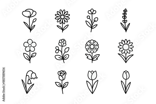 Wildflower Icon Set. Wildflowers. Line icon set of wildflowers: poppy, cornflower, daisy, lavender, buttercup, clover, marigold, sunflower, bluebell, rose,