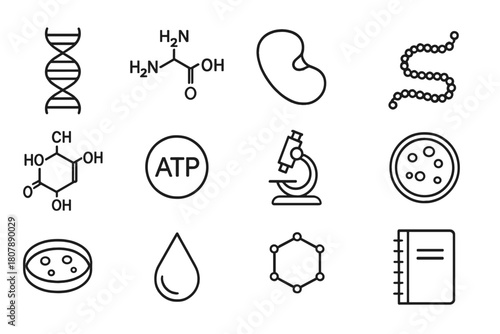 Biochemistry Icon Set. Biochemistry formulas. Line icon set of biochemistry formulas: DNA helix, amino acid structure, enzyme shape, protein chain, glucose