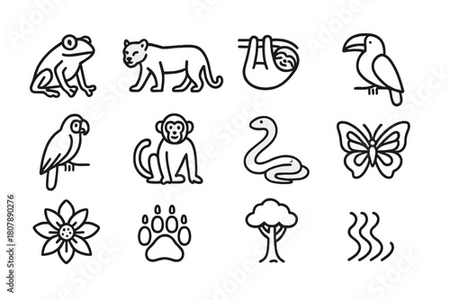 Rainforest Icon Set. Rainforest ecosystem. Line icon set of Rainforest ecosystem: jaguar, toucan, macaw, sloth, tree frog, monkey, snake, butterfly, exotic