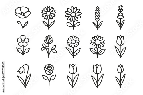 Wildflower Icon Set. Wildflowers. Line icon set of wildflowers: poppy, cornflower, daisy, lavender, buttercup, clover, marigold, sunflower, bluebell, rose,