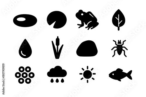 Amphibian Habitat Icons. Amphibian habitat. Solid icon set of amphibian habitat: pond, lily pad, frog, leaf, water drop, reed, rock, insect, egg cluster, rain