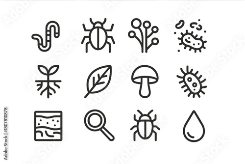 Soil Biodiversity Icons. Soil biodiversity. Line icon set of Soil biodiversity: earthworm, beetle, fungus, bacteria, plant roots, leaf litter, mushroom,