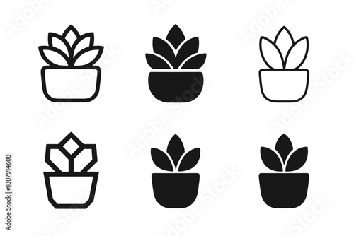 Potted Plant Icon Set. Small potted plants for desk decoration. Icon set. Set Logo of small potted plants for desk decoration: succulent in ceramic pot.