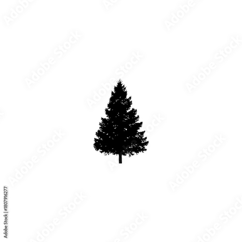 A silhouette of a coniferous tree with a distinct conical shape isolated on a plain white background space