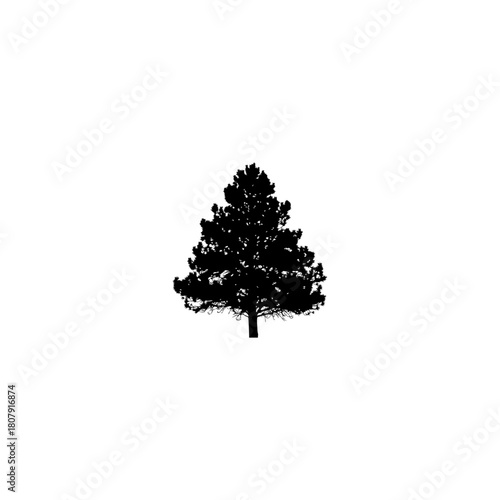 A simple black silhouette of a coniferous tree centered on a white background in a minimalist design style