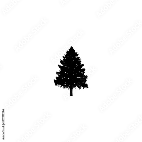 A solitary evergreen tree silhouette stands prominently against a stark white background in minimalist style