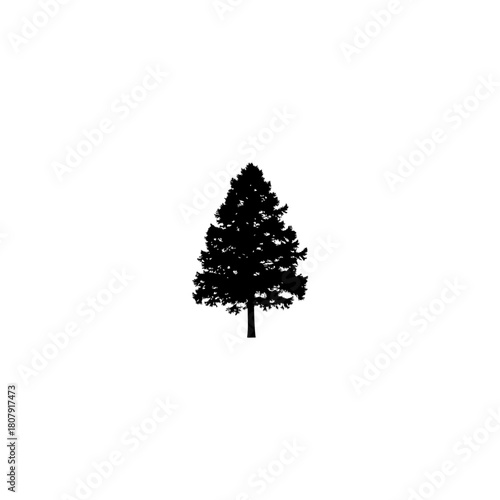 A silhouette of a pine tree with a dense crown and a clearly visible trunk on a white background plain