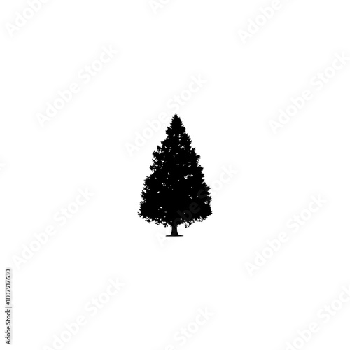 A silhouette of a single evergreen tree with a conical shape isolated on a white background in a simple style