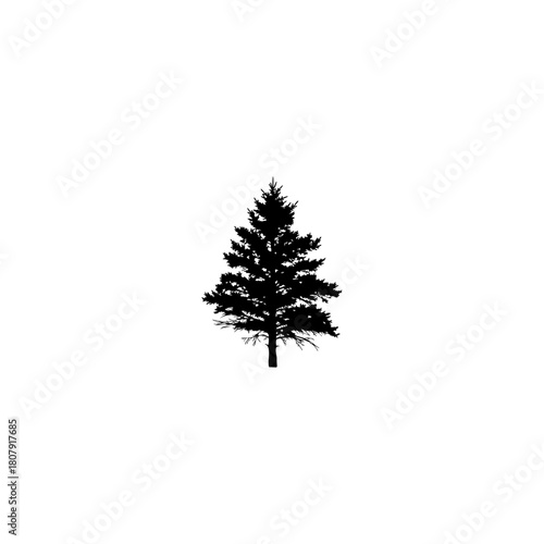 A silhouette of a pine tree with a distinct conical shape standing against a stark white background alone isolated