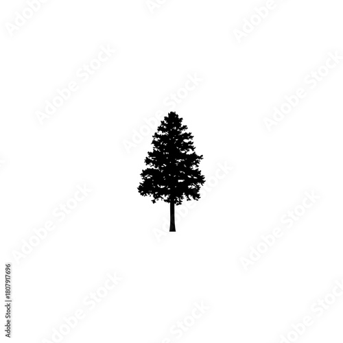 A solitary pine tree silhouette stands tall against a stark white background, simple and minimalist design