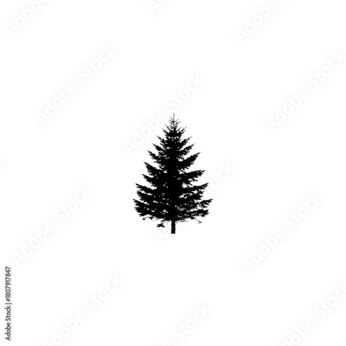 A silhouette of a coniferous tree with a conical shape against a plain white background in a simple style