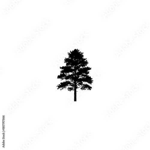 A silhouette of a pine tree with a conical shape standing against a plain white background in a simple style