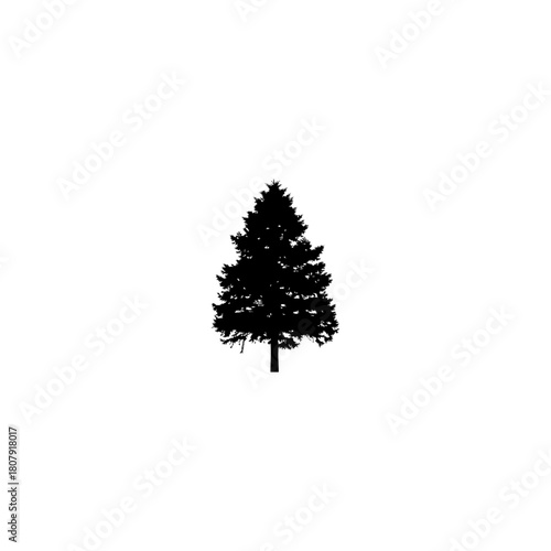 A silhouette of a coniferous tree with a distinct conical shape against a plain white background space