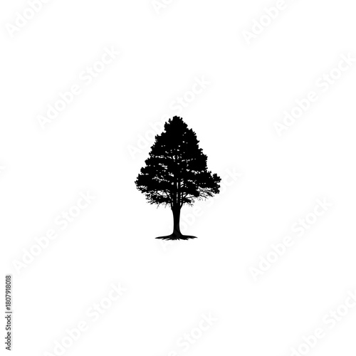 A silhouette of a single tree with a conical shape against a stark white background in a minimalist style