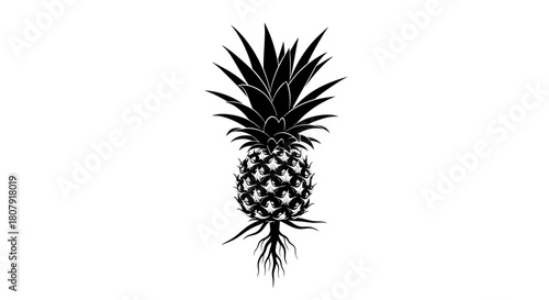 A striking black and white illustration of a pineapple with roots extending from its base.