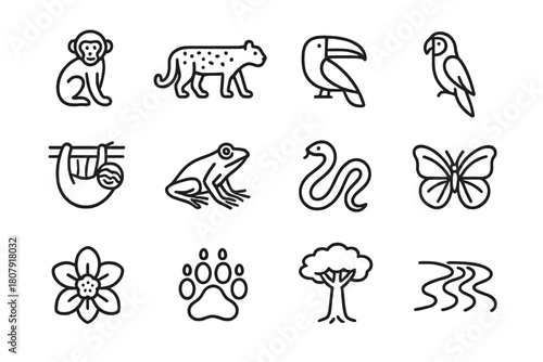 Jungle Wildlife Icons. Jungle wildlife. Line icon set of Jungle wildlife: monkey, jaguar, toucan, macaw, sloth, tree frog, snake, butterfly, exotic flower,