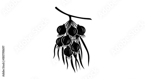 A black and white graphic illustration of a cluster of dark berries hanging from a small branch with slender leaves.