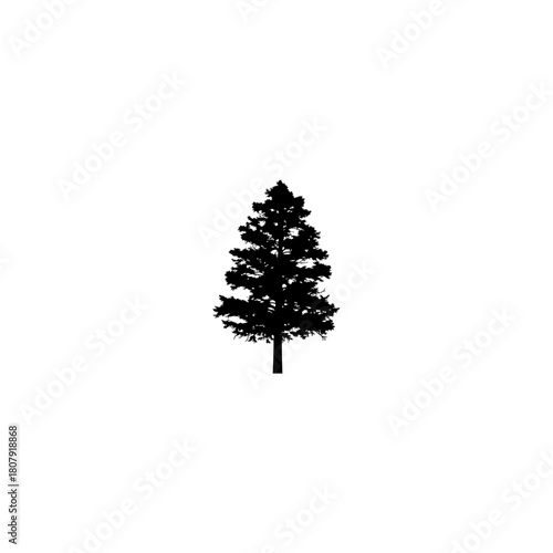 A solitary evergreen tree silhouette stands prominently against a stark white background in simple composition