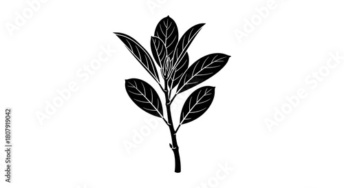 A black silhouette illustration of a plant branch with leaves on a white background.